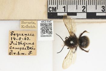 Media type: image;   Entomology 804626 Aspect: labels